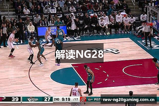 解读NG28